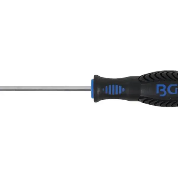 BGS Technic BGS 8629-5 Šestihranný šroubovák (inbus) 4 x 100 mm, Black tip