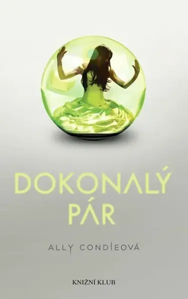 Dokonalý pár (poškozená) - Ally Condieová