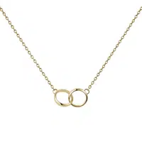 Daniel Wellington Krásný pozlacený náhrdelník Elan Unity DW00400219