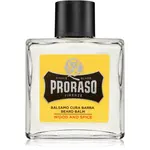Proraso Wood and Spice balzám na vousy 100 ml