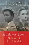 Small Island: Winner of the 'best of the best' Orange Prize - Andrea Levy