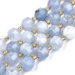 Natural Dolomite Beads Strands