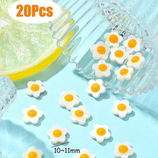 Natural Freshwater Shell Beads with Enamel