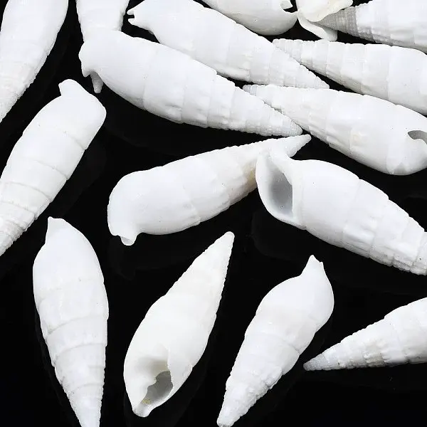 Natural Trochid Shell/Trochus Shell Beads