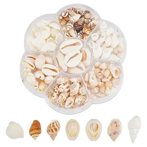 135Pcs 5 Size Natural Conch Shell Beads