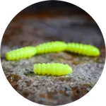 Redbass gumová nástraha trout grub signal yellow uv color - 3x25 mm