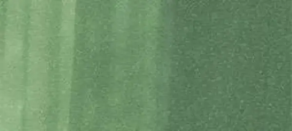 Copic sketch marker - G46 mistletoe