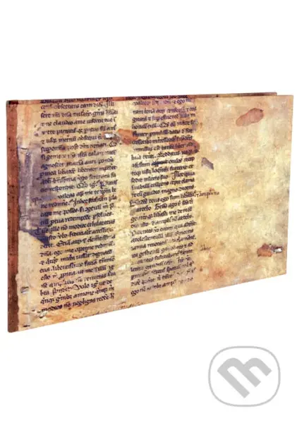 Stredoveké rukopisné fragmenty z fondov Slovenskej národnej knižnice - kniha z kategorie Historie