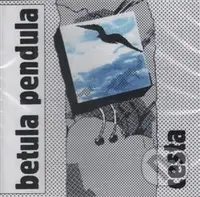 Cesta - Betula pendula