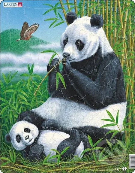 Panda D5 - puzzle z kategorie Naučné puzzle