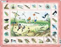 V potoku NA3 - puzzle z kategorie Naučné puzzle