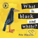What Is Black and White - Petr Horáček - kniha z kategorie Pro děti