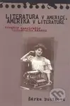 Literatura v Americe, Amerika v literatuře (Proměny amerického literárního kánonu) - kniha z kategorie Literární věda