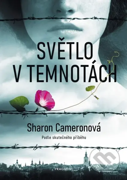Světlo v temnotách - Sharon Cameron - kniha z kategorie Beletrie pro děti