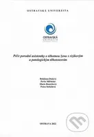 Péče porodní asistentky o ženu s rizikovým a patologickým těhotenstvím - kniha z kategorie Vysoké školy