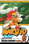 Naruto, Vol. 11: Impassioned Efforts - Masashi Kishimoto