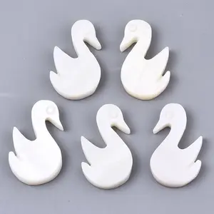 Natural Freshwater Shell Beads