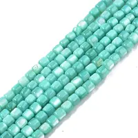 Natural Freshwater Shell Beads Strands