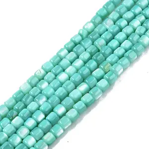 Natural Freshwater Shell Beads Strands