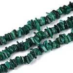 Natural Freshwater Shell Beads Strands