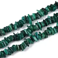 Natural Freshwater Shell Beads Strands
