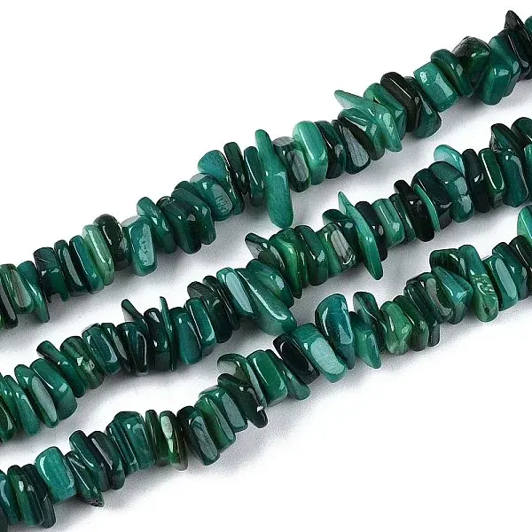 Natural Freshwater Shell Beads Strands