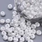 Baking Paint 6/0 Glass Seed Beads