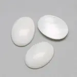 Freshwater Shell Cabochons