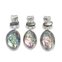 Natural Abalone Shell/Paua Shell Big Pendants
