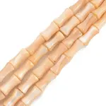 Natural Freshwater Shell Beads Strands