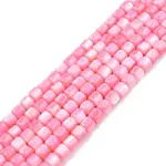 Natural Freshwater Shell Beads Strands