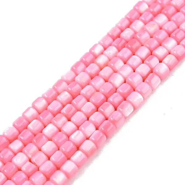 Natural Freshwater Shell Beads Strands