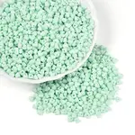 Baking Paint Glass Seed Beads