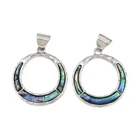 Alloy Pave Natural Abalone Shell/Paua Shell Pendants