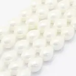 Shell Pearl Beads Strands