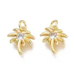 Brass Micro Pave Clear Cubic Zirconia Charms