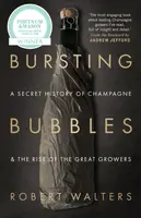 Bursting Bubbles - Robert Walters
