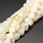 Natural Trochid Shell/Trochus Shell Beads Strands