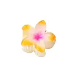 Plastic Claw Hair Clips