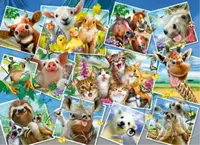 Zvířecí pohlednice 2v1, dřevěné - puzzle z kategorie Zvířata