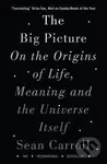 The Big Picture (On the Origins of Life, Meaning, and the Universe Itself) - kniha z kategorie Humanitní a společenské vědy