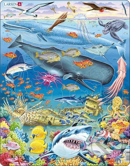 Život v Tichom oceáne FH20 - puzzle z kategorie Naučné puzzle