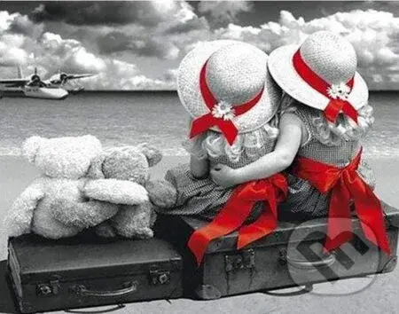 Diamantové malování - Roztomilý pár