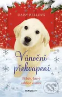 Vánoční překvapení (Příběh, který zahřeje u srdce) - kniha z kategorie Beletrie pro děti