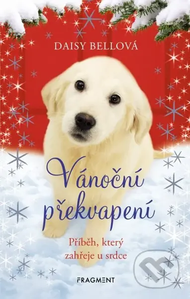 Vánoční překvapení (Příběh, který zahřeje u srdce) - kniha z kategorie Beletrie pro děti