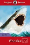 Sharks