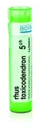 Boiron RHUS TOXICODENDRON CH5 granule 4 g