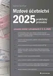 Mzdové účetnictví 2025 - Václav Vybíhal - e-kniha