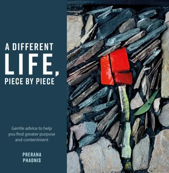 A Different Life, Piece by Piece - Prerana Phadnis