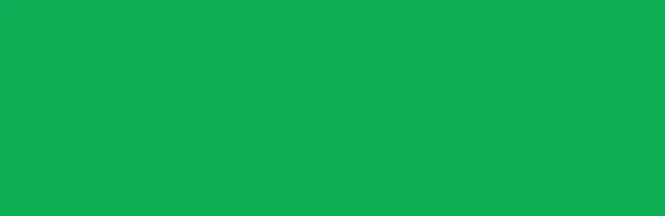 Akryl Amsterdam St. 500 ml - 605 Brilliant GRN